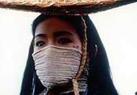 《始皇帝暗殺》(1998年，原題：荊軻刺秦王)
