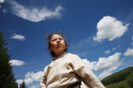 《運命の子》(2010年、原題：趙氏孤児)